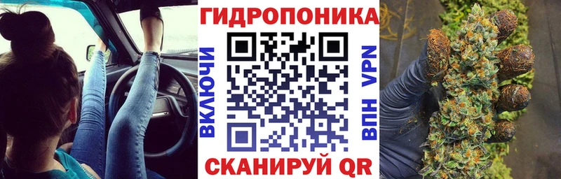 Где найти наркотики Елизово COCAIN СК Марихуана