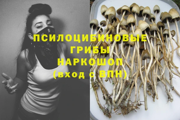каннабис Баксан
