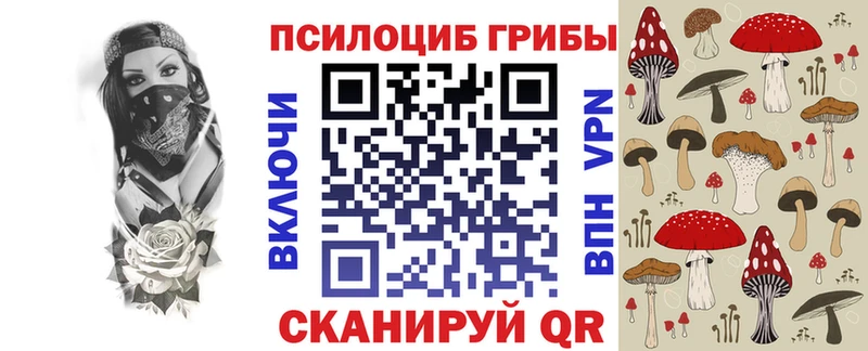 Псилоцибиновые грибы Cubensis  Елизово 